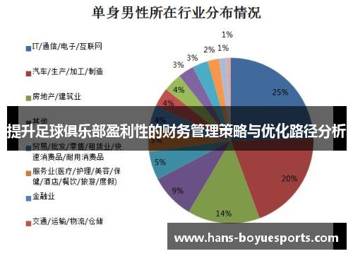 提升足球俱乐部盈利性的财务管理策略与优化路径分析 提升足球俱乐部盈利性的财务管理策略与优化路径分析