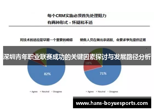 深圳青年职业联赛成功的关键因素探讨与发展路径分析