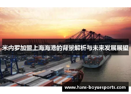 米内罗加盟上海海港的背景解析与未来发展展望